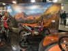 urlaub_italien_eicma_2024_5_1
