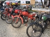 urlaub_italien_mostra_scambio_nov_2024_31_1