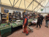 mostra_scambio_novegro_2025_43_1