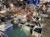 mostra_scambio_novegro_2025_56_1