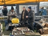 mostra_scambio_novegro_2024_44_1
