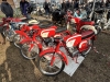 mostra_scambio_novegro_2024_53_1