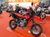 messe_bodensee_tag_3_18_1 messe_bodensee_tag_3_18_1