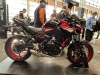 messe_bodensee_22_1