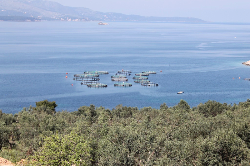 20_04_13_albanien_5_1