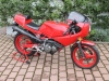 gilera_saturno_500_rot_2_1